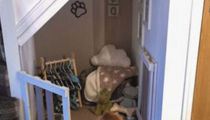 She invests money and effort into designing the ideal bedroom for her new puppy. Let's see the bedroom for dog.