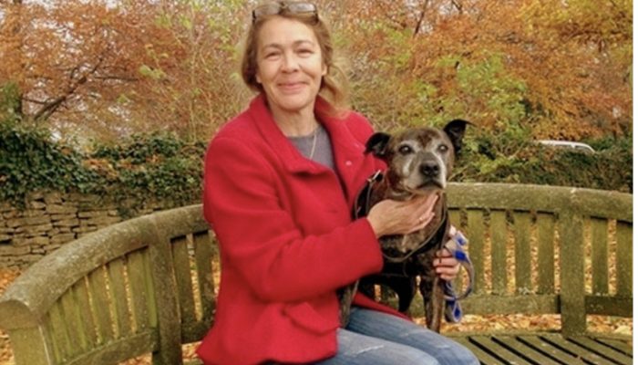 Nine years after going missing, the dog is located and still recognizes its owner.