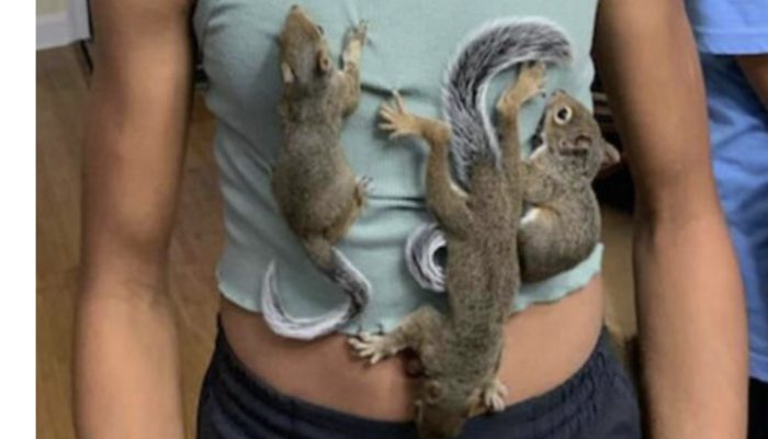 During hurricane evacuation, a kind 15-year-old girl saves orphaned squirrel.