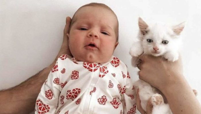 A pregnant woman saved a stray pregnant cat and they became the sweetest pregnancy friends giving birth on the same day. Now their babies are miracle.