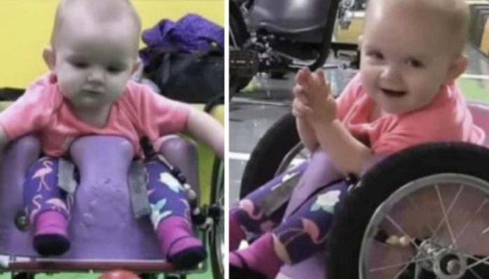 Parents made their little girl a handmade wheelchair. The result was really stunning to see.