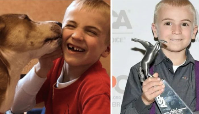 A seven-year-old child with a good heart found homes for 1,300 abandoned pets was chosen "Kid of the Year" for his efforts.