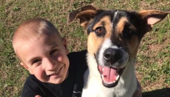 A seven-year-old child with a good heart found homes for 1,300 abandoned pets was chosen "Kid of the Year" for his efforts.