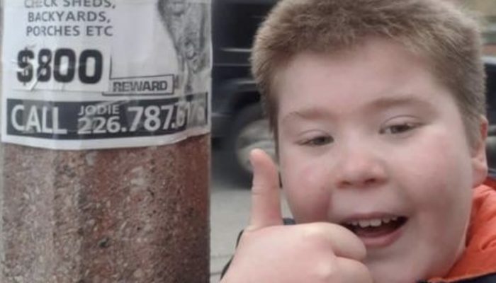 The cat that was missing for 74 days is finally found by a 9-year-old boy, who receives a $1,025 reward.