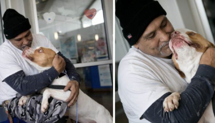 The owner returned to the shelter and picked up his dog, and the reunion was incredibly heartwarming.