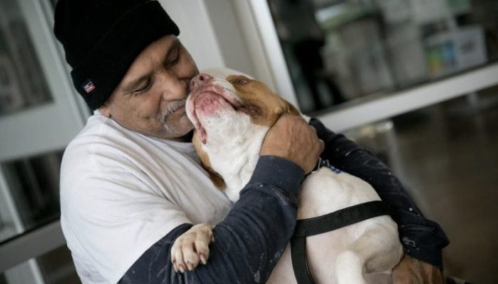 The owner returned to the shelter and picked up his dog, and the reunion was incredibly heartwarming.