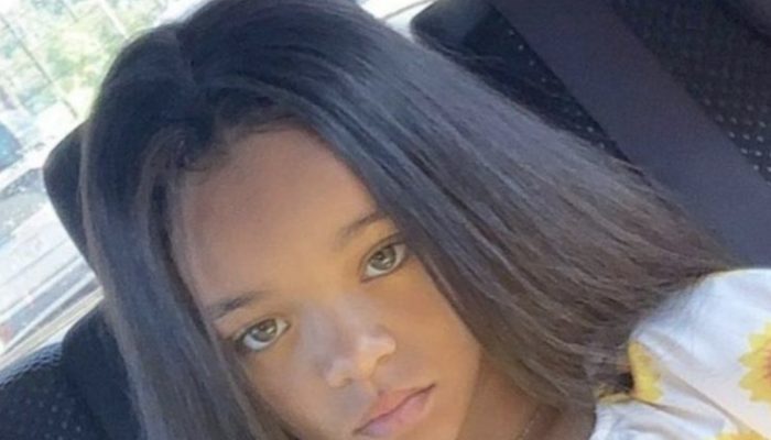 A gorgeous little girl that resembled Rihanna astonished everyone, even the singer.