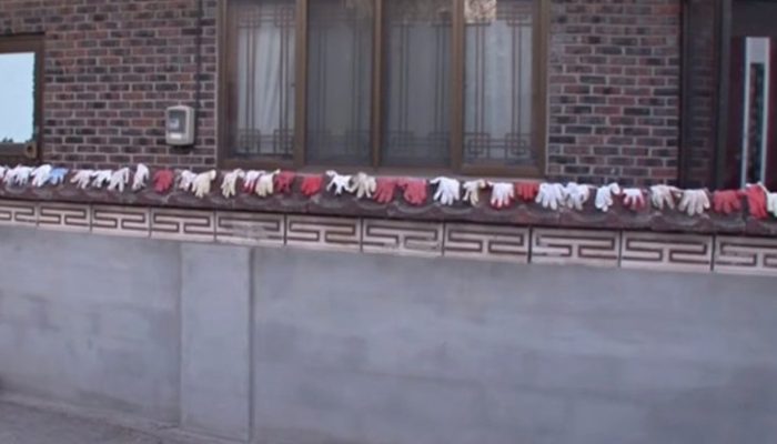 The cat stole items from the neighbors and presented them to her savior as a gift of gratitude.