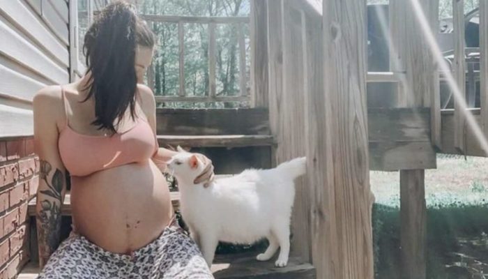 A pregnant woman saved a stray pregnant cat and they became the sweetest pregnancy friends giving birth on the same day. Now their babies are miracle.