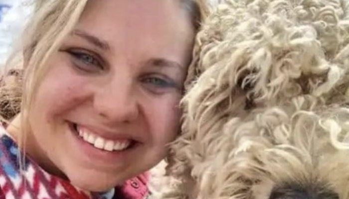 The little dog was found 19 days after the accident. This story touched everyone's heart.