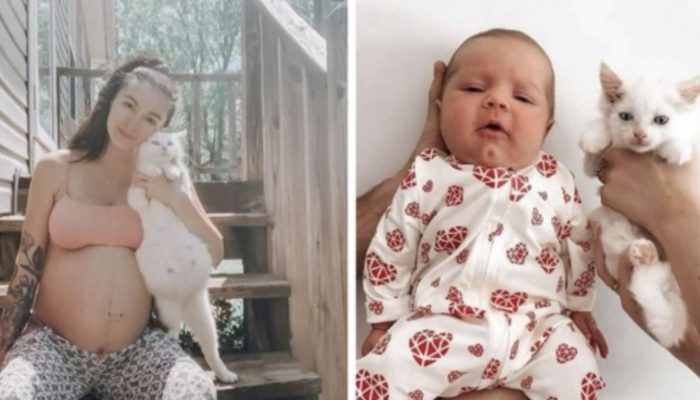 A pregnant woman saved a stray pregnant cat and they became the sweetest pregnancy friends giving birth on the same day. Now their babies are miracle.
