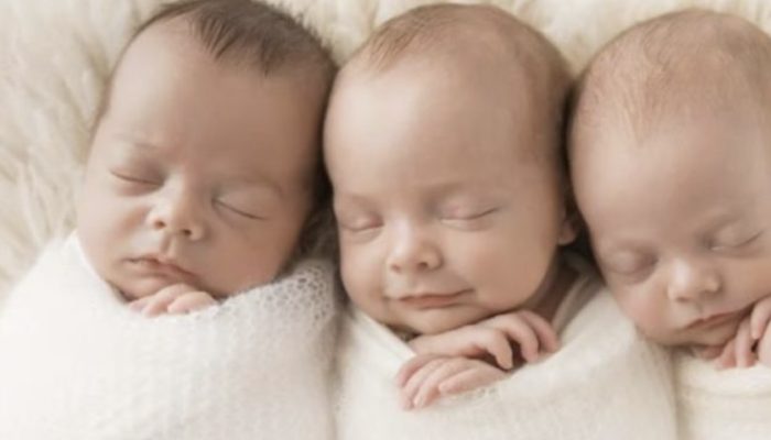 Fortunately, these adorable triplets have lived, and everyone was in awe of their amazing tale.