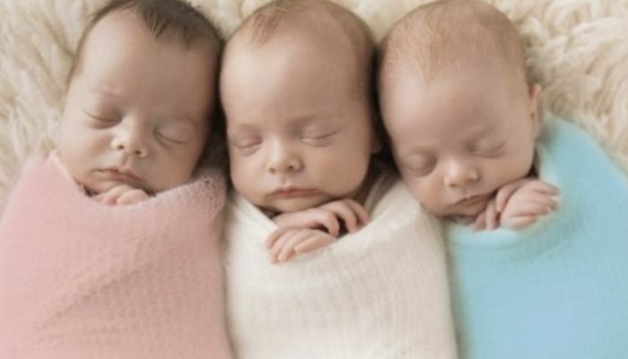 Fortunately, these adorable triplets have lived, and everyone was in awe of their amazing tale.
