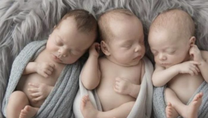 Fortunately, these adorable triplets have lived, and everyone was in awe of their amazing tale.