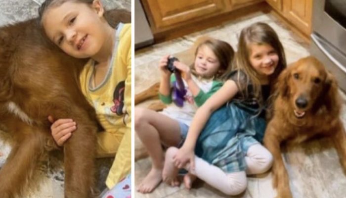 The dog was now celebrated as the day's hero after discovering two little girls who had gone missing.