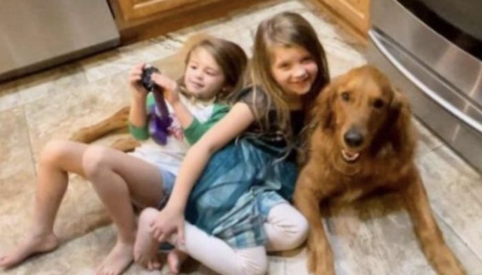 The dog was now celebrated as the day's hero after discovering two little girls who had gone missing.