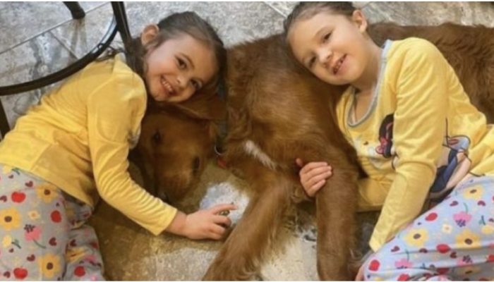 The dog was now celebrated as the day's hero after discovering two little girls who had gone missing.