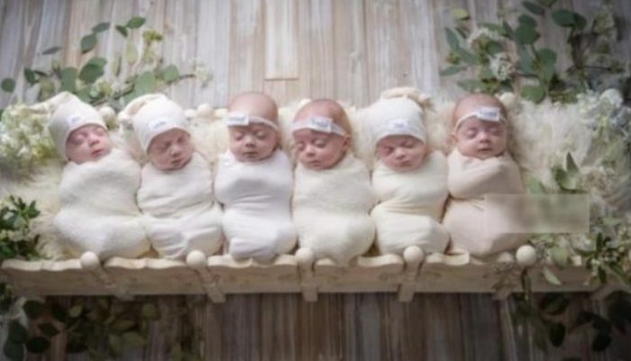 The joyful family hoped for a girl child, but instead welcomed beautiful six children. How they look like now.