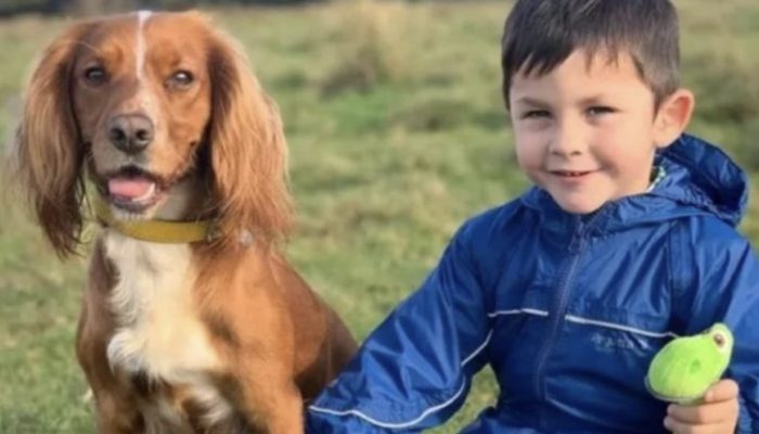 The arrival of a dog into the young boy's life really changed everything his life.
