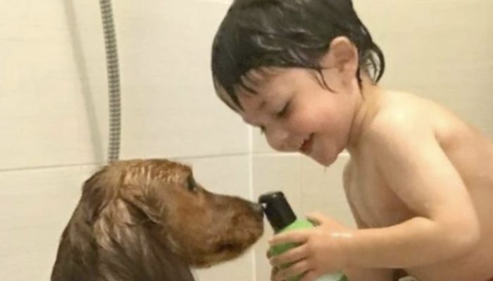 The arrival of a dog into the young boy's life really changed everything his life.