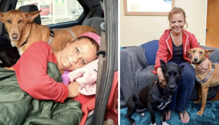 The kind woman slept in the car with her dogs since she didn't want to leave them outside.
