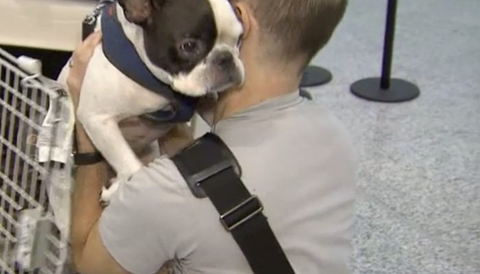 The Canadian pilot differs the international flight to prevent the dog's cargo from freezing.