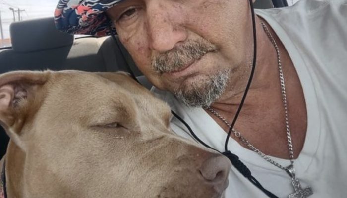 Dog found alive after swimming 6 kilometers to shore after falling from shrimp trawler.