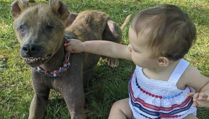 A shelter worker's heart was stolen by a puppy with a permanent smile.