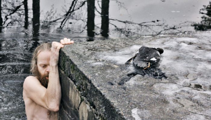 The day's hero. The man jumps into a freezing lake to save a drowning duck.