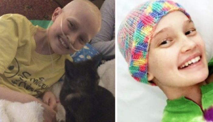 The touching story of a girl and her lovely kitty, who remained by her side during her darkest hour.