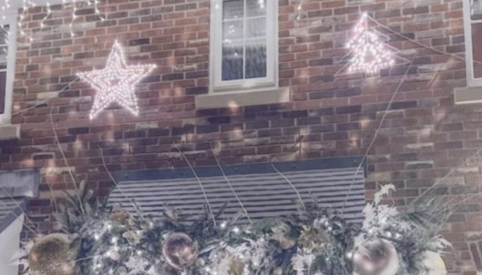 A woman spent $5000 decorating her home for Christmas, and it turned out to be a true fantasy. See the final result.