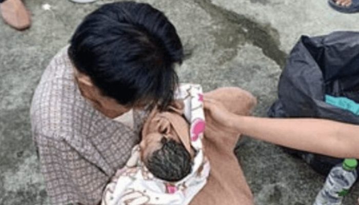 When people were watching how a dog carries a bundle in his teeth, it turned out that he saved the life of a child.