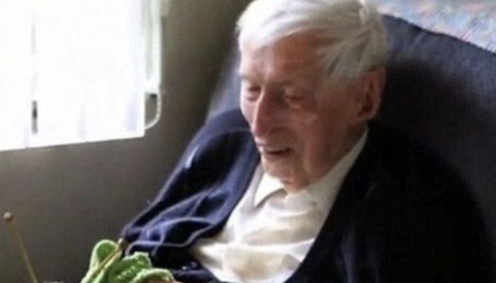 For penguins, a 108-year-old man knits coats. The power of love. They look beautiful.