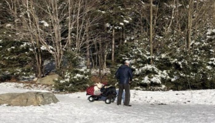Everyone was moved by this story of a guy and his dog's deep connection.