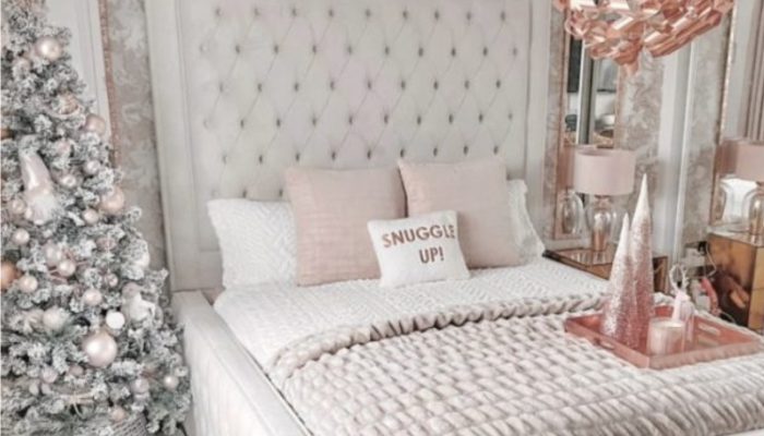 A woman spent $5000 decorating her home for Christmas, and it turned out to be a true fantasy. See the final result.