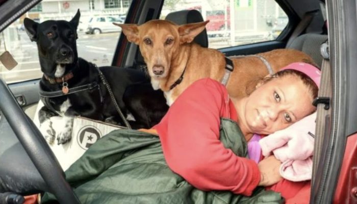 The kind woman slept in the car with her dogs since she didn't want to leave them outside.