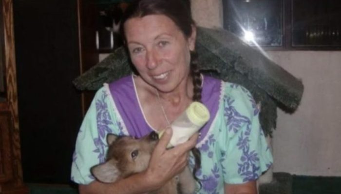 Three small puppies were adopted by a kind woman. They turned out to be wolves.