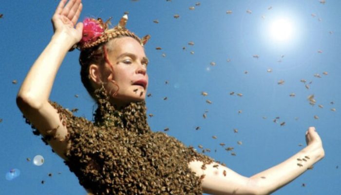 A courageous 45-year-old woman shocks everyone by wearing 12,000 bees in place of clothing.