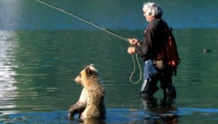 Bear cub approached the fisherman and requested fish. He did not eat it, but instead gave it to his mother bear.