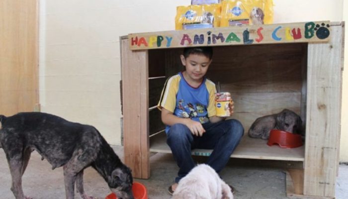 A nine-year-old child began feeding stray animals. Today he is thirteen and runs his own sanctuary.