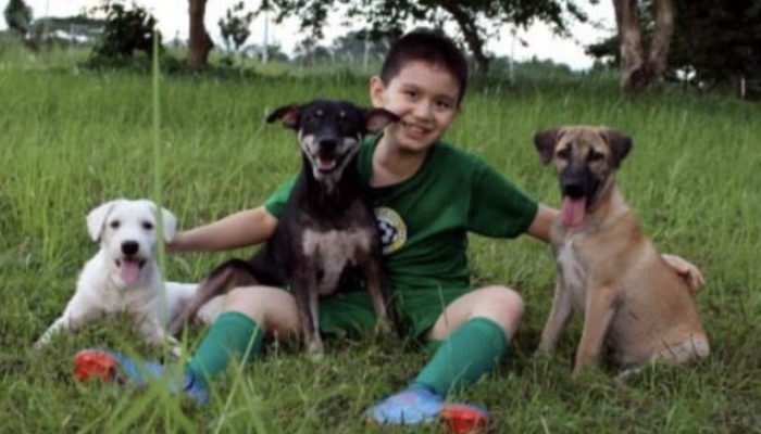 A nine-year-old child began feeding stray animals; today he is thirteen and runs his own sanctuary.