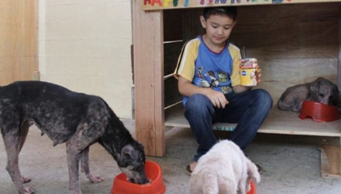 A nine-year-old child began feeding stray animals; today he is thirteen and runs his own sanctuary.