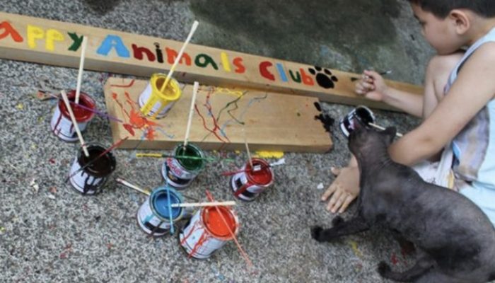 A nine-year-old child began feeding stray animals; today he is thirteen and runs his own sanctuary.