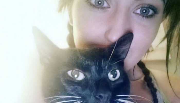 The family decided to determine the location of their cat's constant disappearance. When they found out the truth, they put a tracker on him and were shocked.