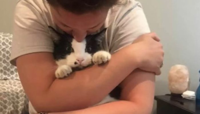 When a woman sees her not-lost cat on the Lost Pets page, she is perplexed.