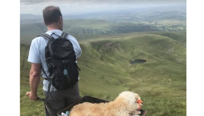 The owner decided to take his sick dog to his favorite hiking spot.