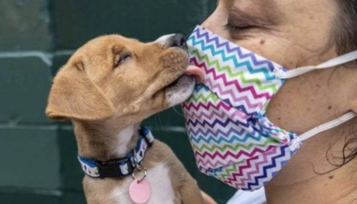 A one-of-a-kind canine was left at the family's door, wishing for affection.