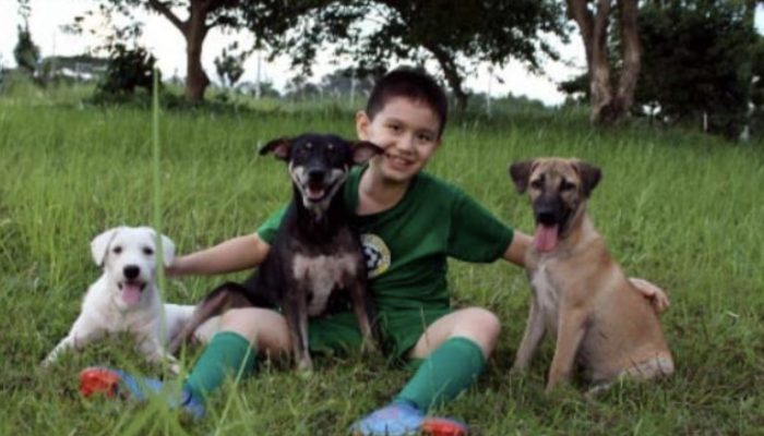 A nine-year-old child began feeding stray animals. Today he is thirteen and runs his own sanctuary.
