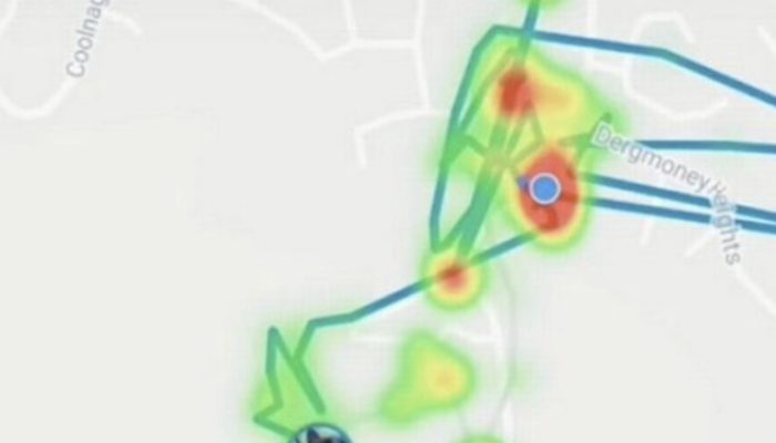 The family decided to determine the location of their cat's constant disappearance. When they found out the truth, they put a tracker on him and were shocked.