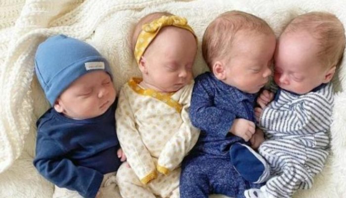 The mom finds she is expecting quadruplets just two months after adopting four children